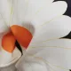 Contrast Color Flower Print Zipper Stand Collar Jackets Outerwear Contrast Color Flower Print Zipper Stand Collar Jackets Outerwear